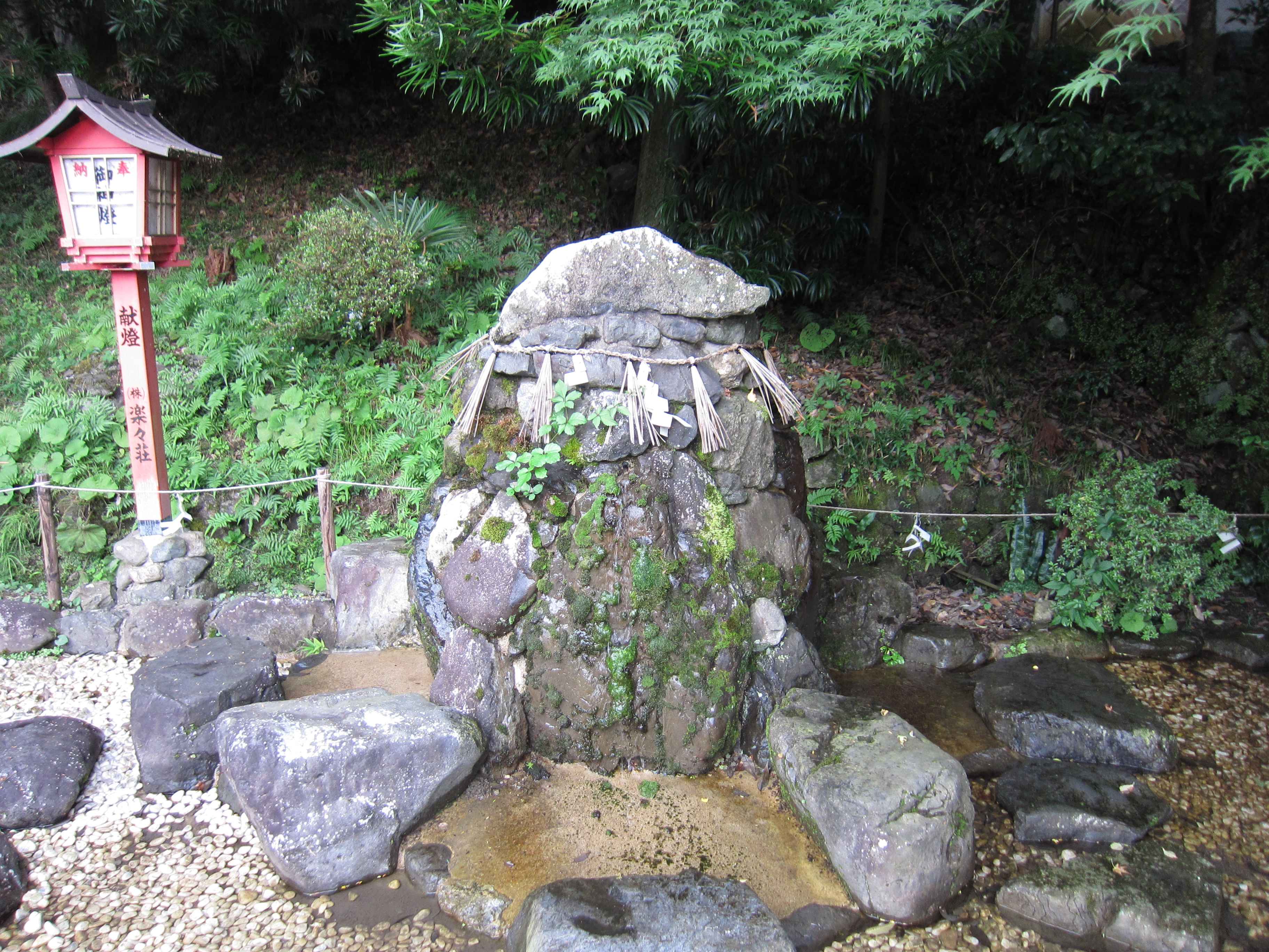 ⛩️ 이즈모 대신궁 이미지 4